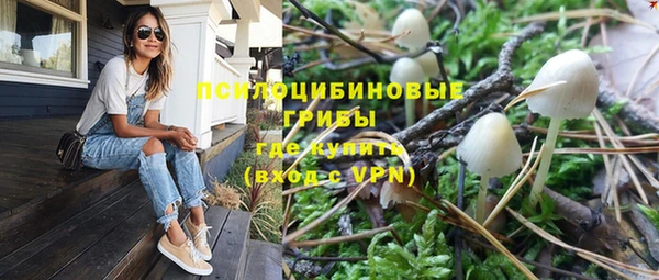 спайс Алексеевка