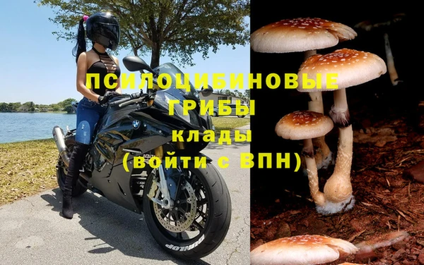 спайс Алексеевка