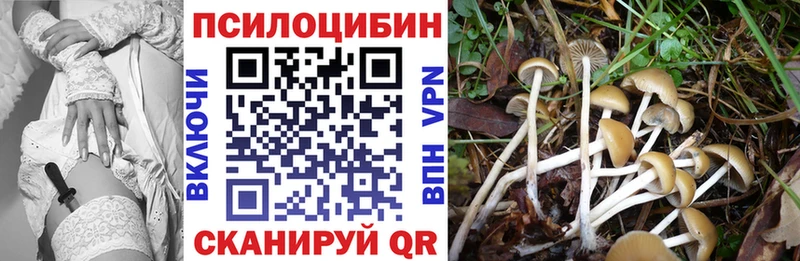 где продают   Полысаево  Галлюциногенные грибы прущие грибы 