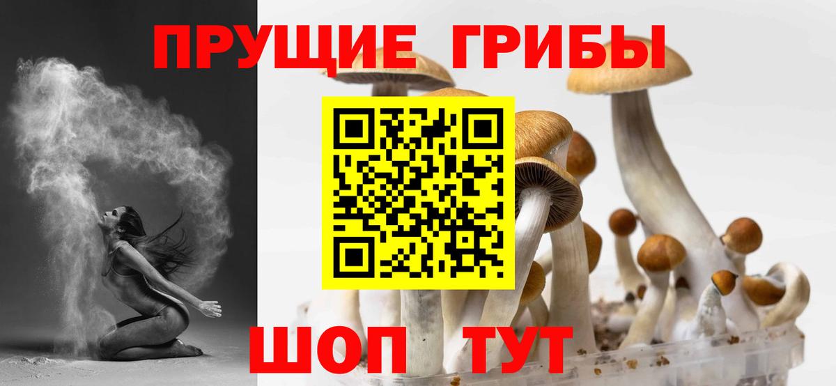 Галлюциногенные грибы Magic Shrooms Полысаево