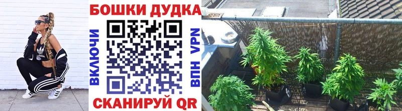 купить наркотик Полысаево Конопля сатива